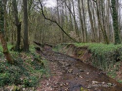 J 11 de Thann à Bellemagny