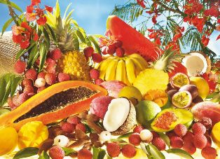 Bienvenue sur l'Île Intense de Fany à la Réunion