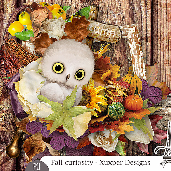 Fall curiosity Minikit de Xuxper designs