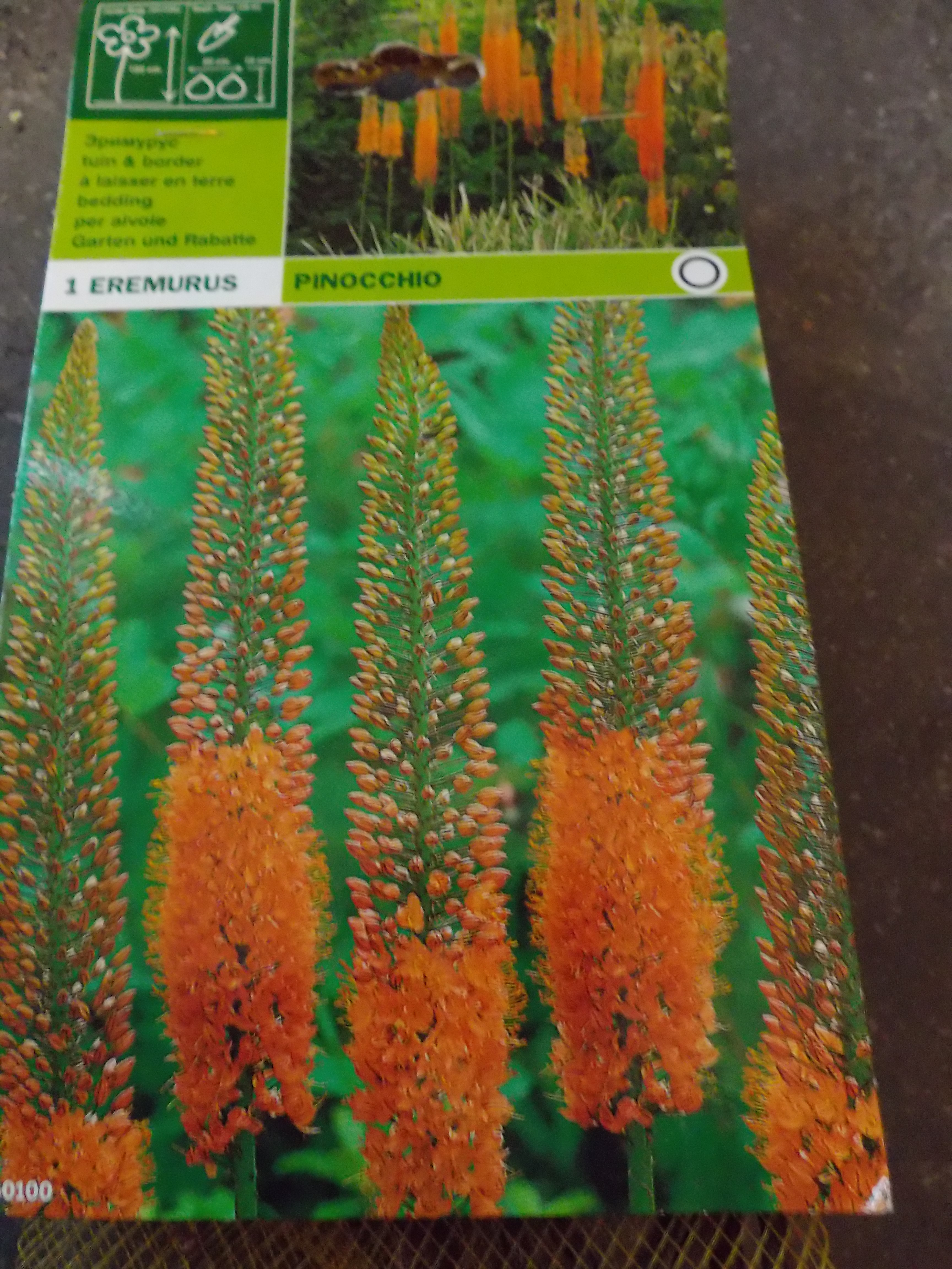 Véranda prix au metre carré