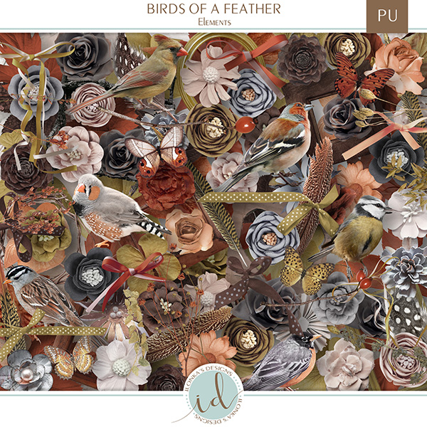 Birds Of A Feather -  Release October 7th 2019 ID-Birds-Of-AFeather-prev2