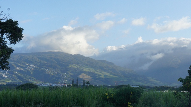 Bois Madame (fin) -