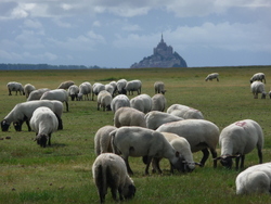 Entre Bretagne et Normandie 