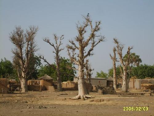 Burkina Bomborokuy Une partie du village