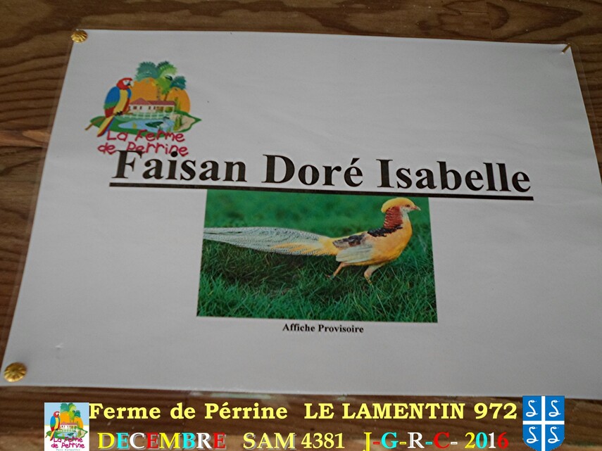 PARC DE MARTINIQUE: la ferme Pérrine  1/4       D    13/08/2017