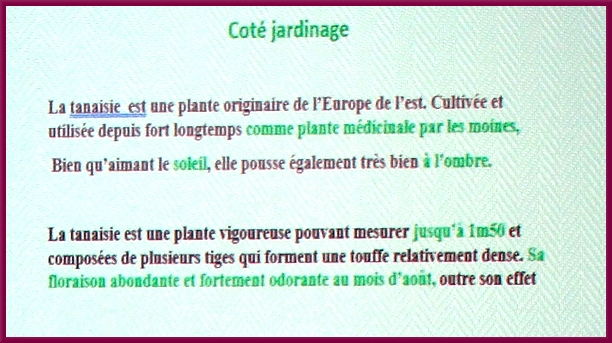 Gilles Seytre a présenté  au club des Anciens de Nod sur Seine, une étude fort intéressante sur les propriétés de plantes que nous pouvons cultiver dans nos jardins