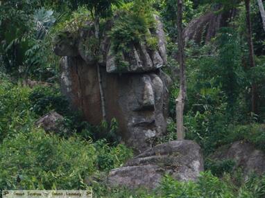 Le Gardien de l'Amazonie 