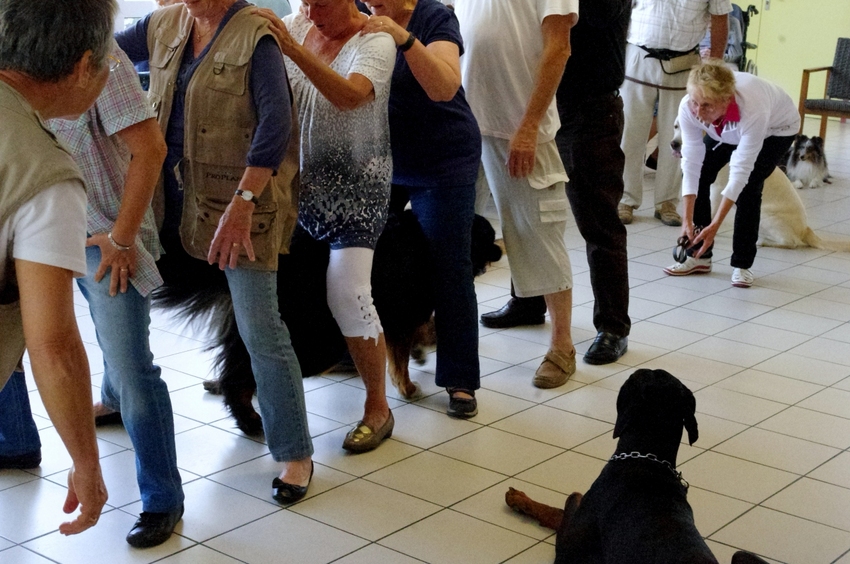 Animation à la maison de retraite de St Georges d'Oléron le mardi 25 juin 2013