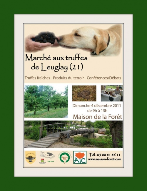 Marché de la truffe, le 4 décembre de 9 h 13 h, à  à la Maison de la Forêt de Leuglay...
