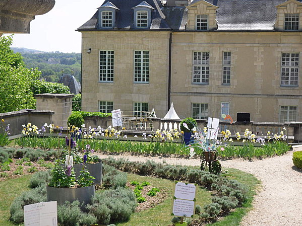 auvers--4-.JPG