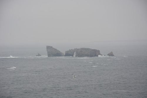 Finistère - de la Pointe de Pen Hir à la pointe du Toulinguet rocher du Lion