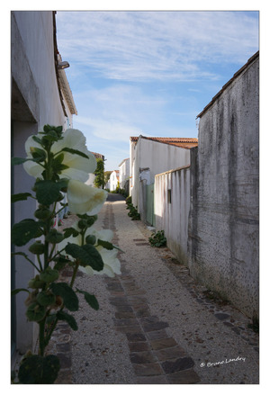 Île de Ré