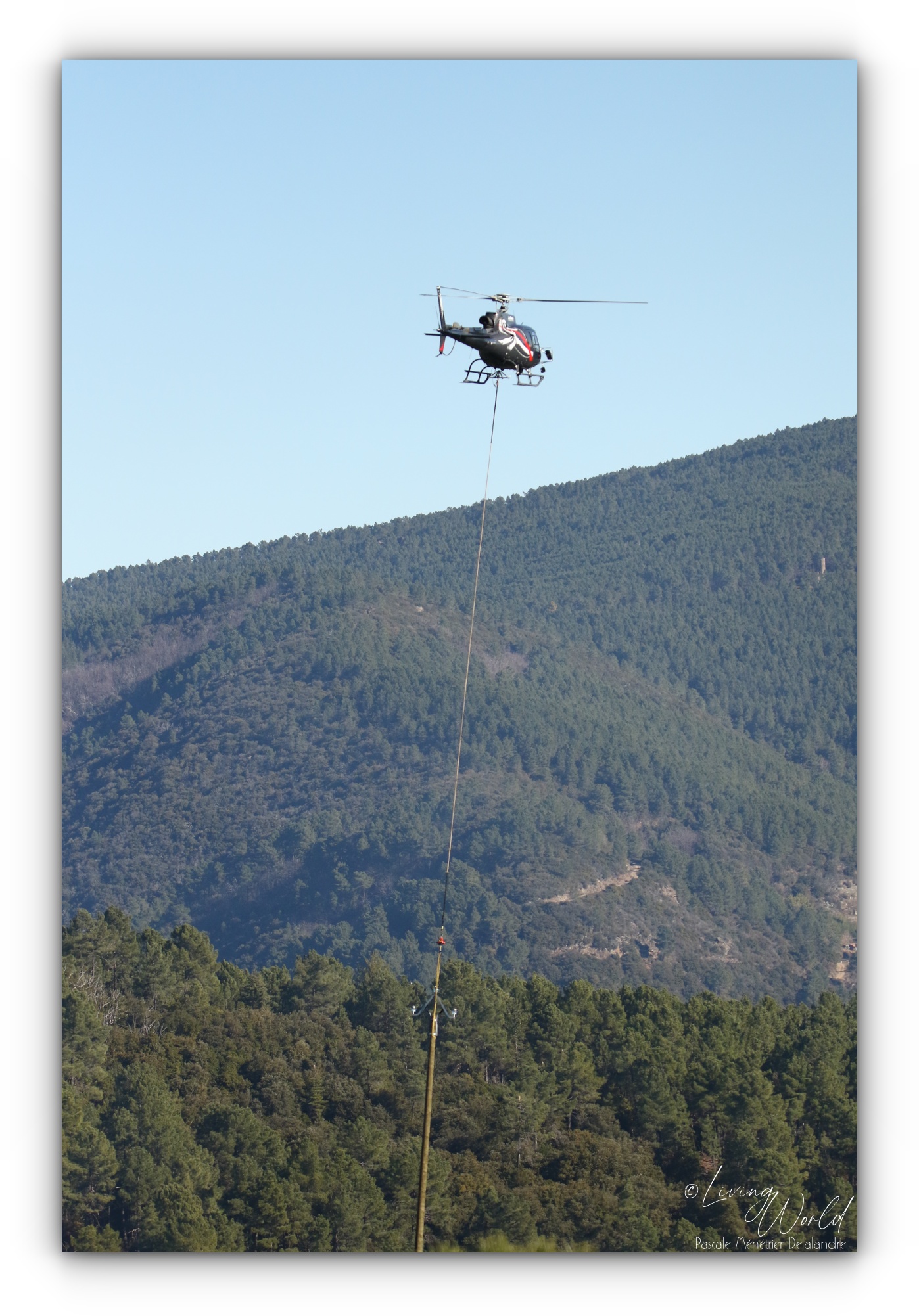 26 01 2022 - Changement des poteaux dans la montagne