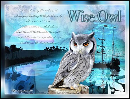 Wise Owl