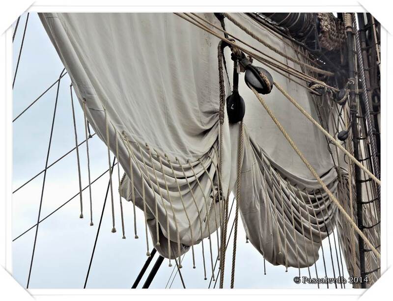 L'Hermione à Bordeaux - 4/11