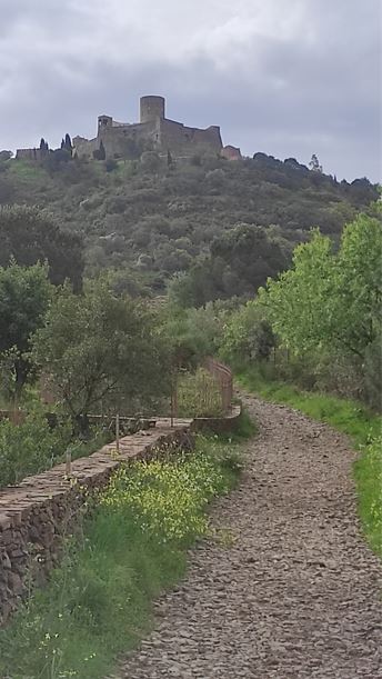 La côte Vermeille de Collioure à Banuyls sur mer 