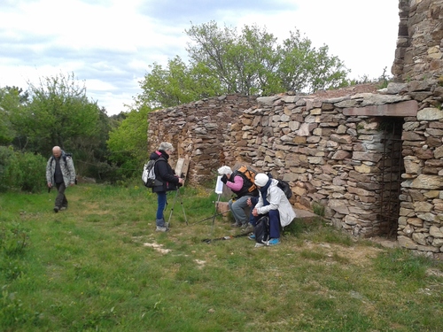 Le sentier de Marbrières Félines Minervois (Aude) le 1er mai 2016