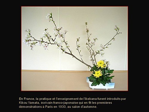 ikebana pps (10)