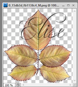 Dégradé sur un tube