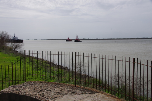 Des plages de Floride aux bayous de Louisiane