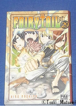 Fairy Tail - tome 29