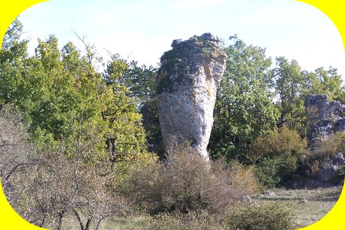 PLATEAU DU LARZAC (AVEYRON)