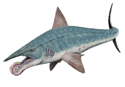 HELICOPRION