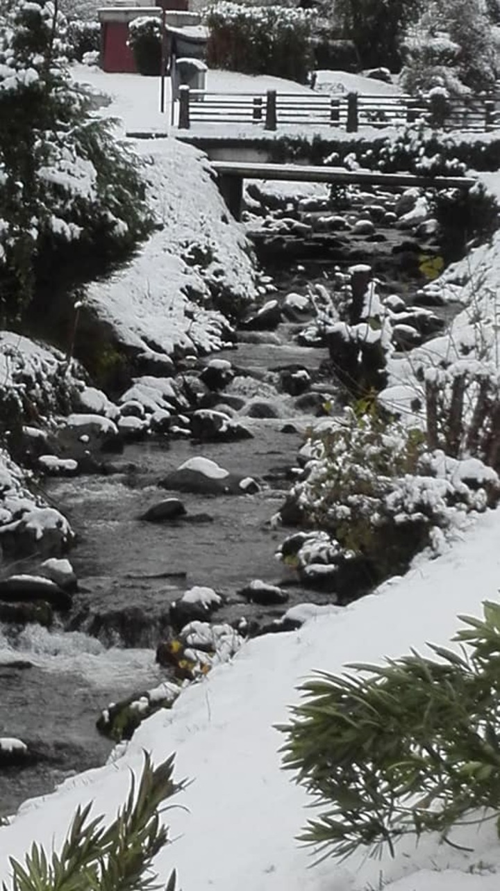 Neige en vallée d'Ossau...