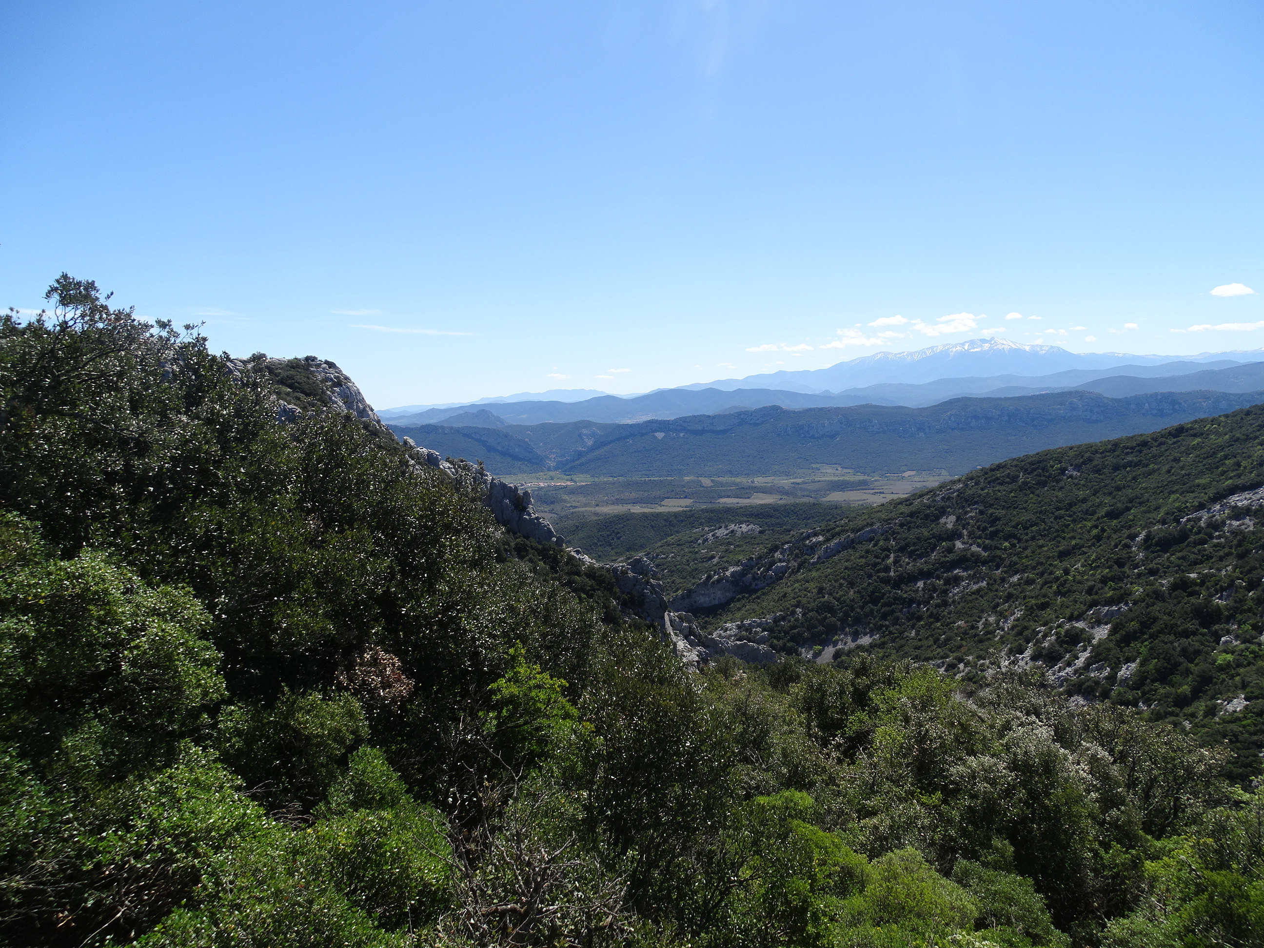 Le sentier du charbonnier