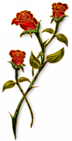 c0Fqr65VmHBEbhWbpsTvCBkynhE@250x488.png