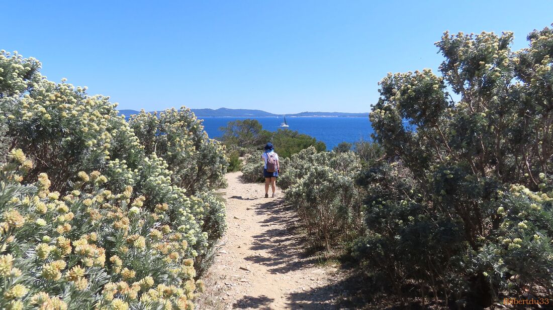 la presqu'île de Giens - 10