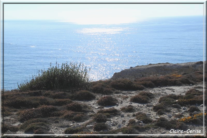 872 - L'Aber et Le Cap de la Chèvre en Presqu'île de Crozon (29)