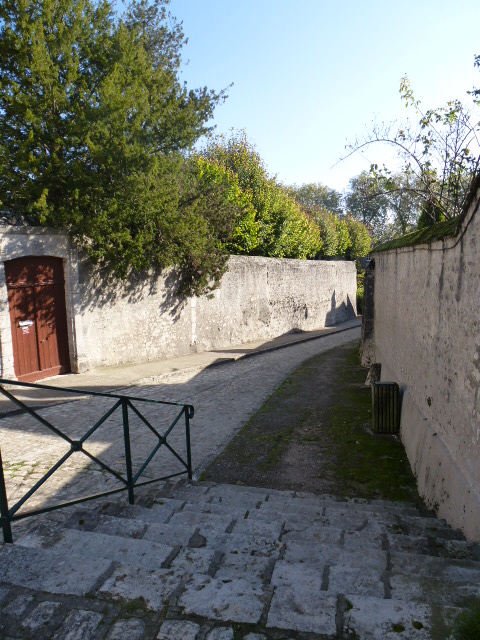 COULEURS D'AUTOMNE A BEAUGENCY