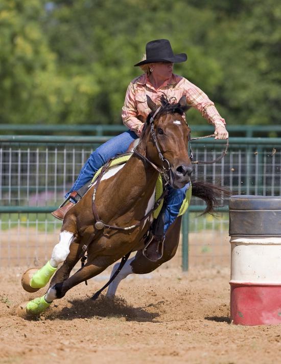 Disciplines Equestres Western - Tout sur le Cheval