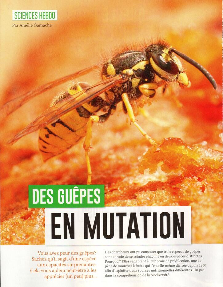 Sciences 2:  Des guêpes en mutation et autres nouvelles (2 pages)