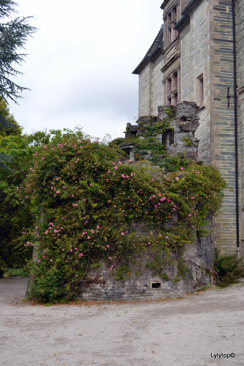 Tourlaville