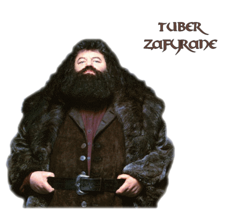 Rubeus Hagrid