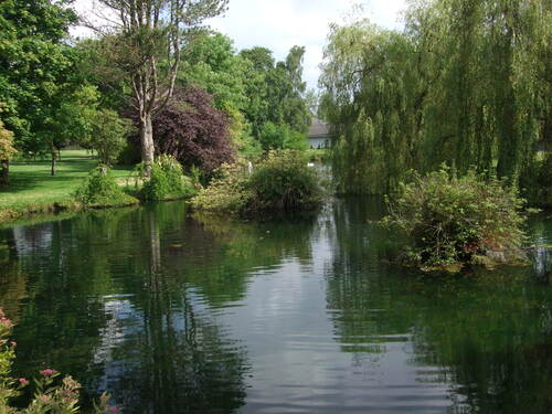 Fleurs d' Irlande, etc...