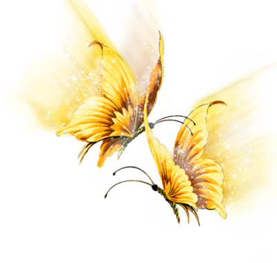 Papillons 5