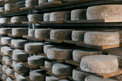 FROMAGES DE NOS REGIONS LA TOMME DE SAVOIE