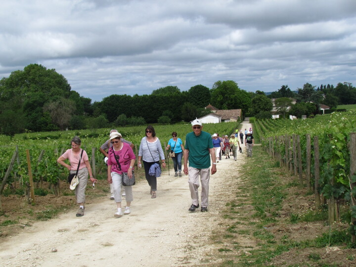 RANDONNEE A SAINT EMILION . 33330 . GIRONDE .