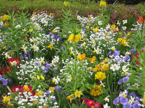 Printemps dans la ville (1)