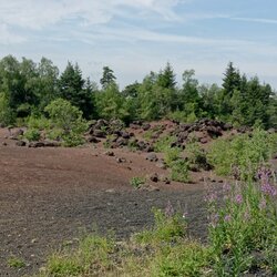 ETANG MONTLOSIER, PUYS MERCOEUR, LASSOLAS et VACHE 23/06