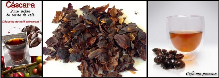 Infusion de cascara