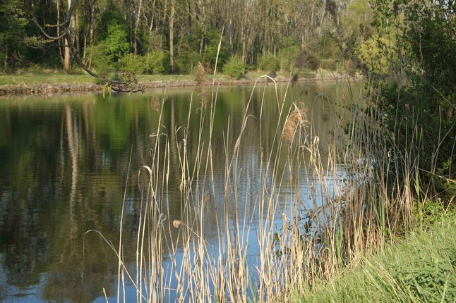 Au bord du canal