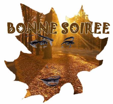 BONNE  SOIREE  3