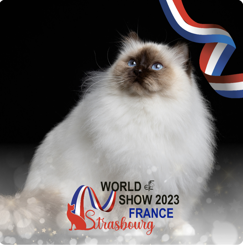 World Show 2023 - Strasbourg 