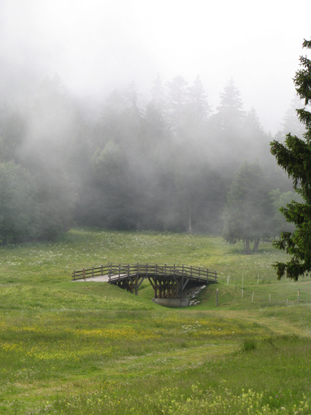 Partage photos d'octobre : Chemin