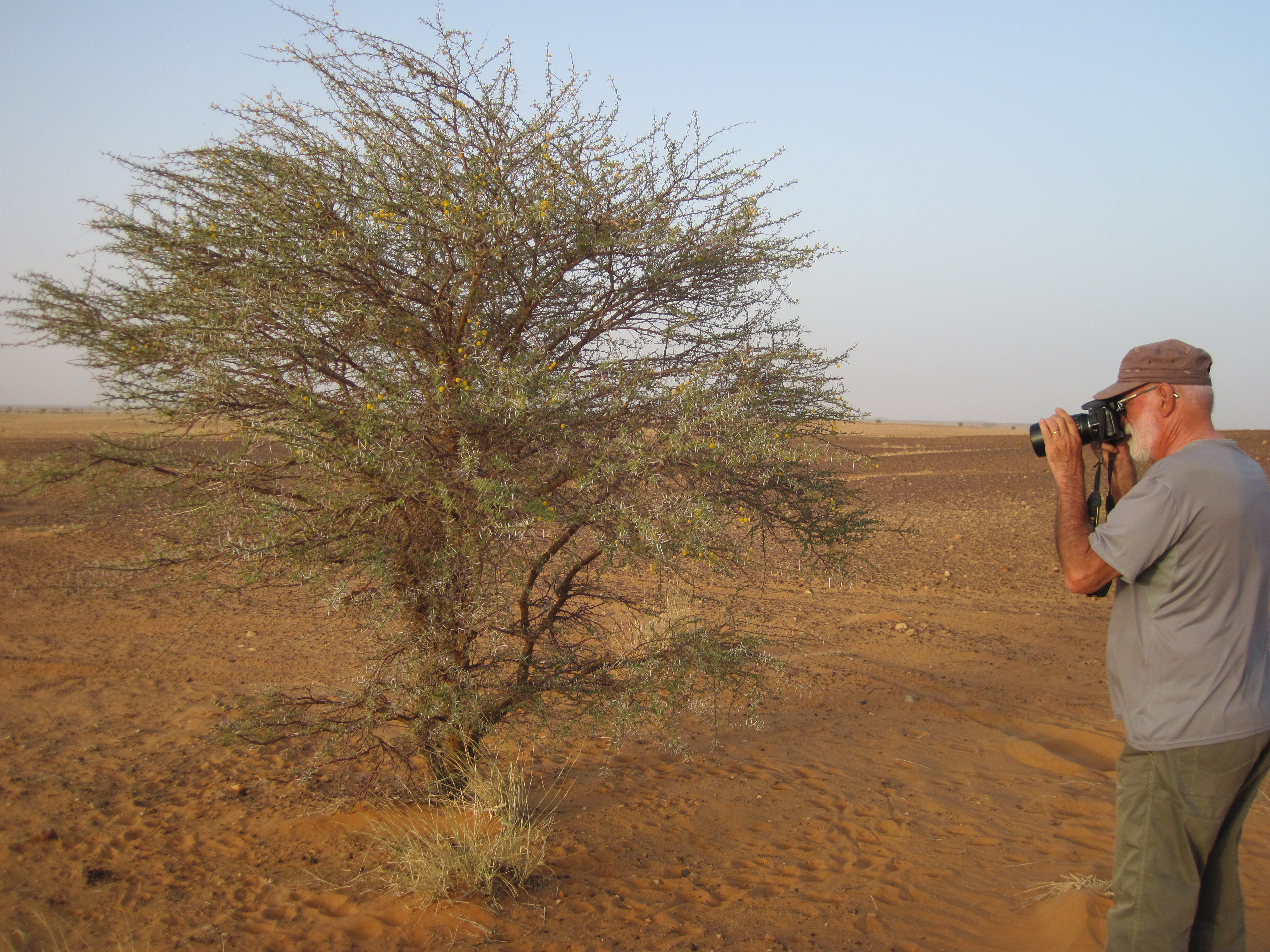 Mauritanie Entre Nouakchott et Atar