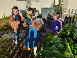 maternelle : atelier cuisine